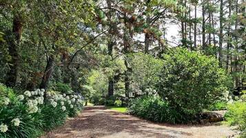 Overnatningsstedets område