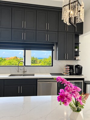 A modern kitchen with dark cabinets, a stainless steel dishwasher, a coffee station, and a large window with a view of greenery.