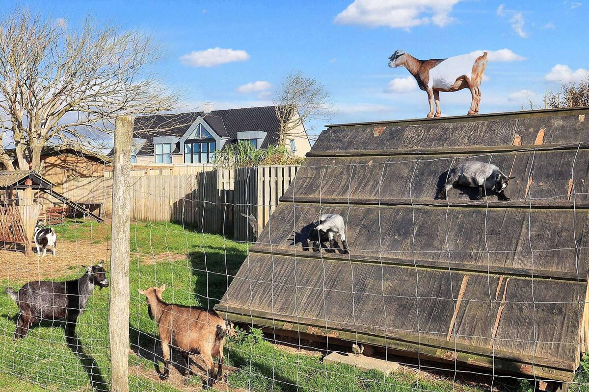 Deluxe House, 2 Bedrooms | View from property