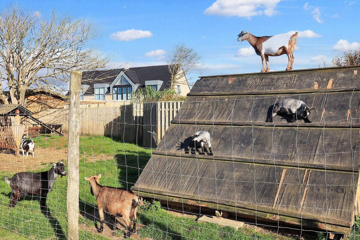 Luxury House, 2 Bedrooms | View from property