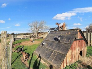 Vista da propriedade