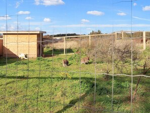Maison Deluxe, 3 chambres | Vue depuis l’hébergement