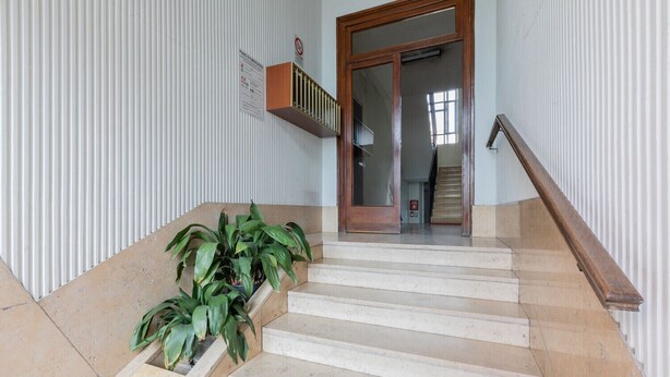 Un escalier avec une rampe en bois, des marches de couleur beige et des plantes vertes au bas.