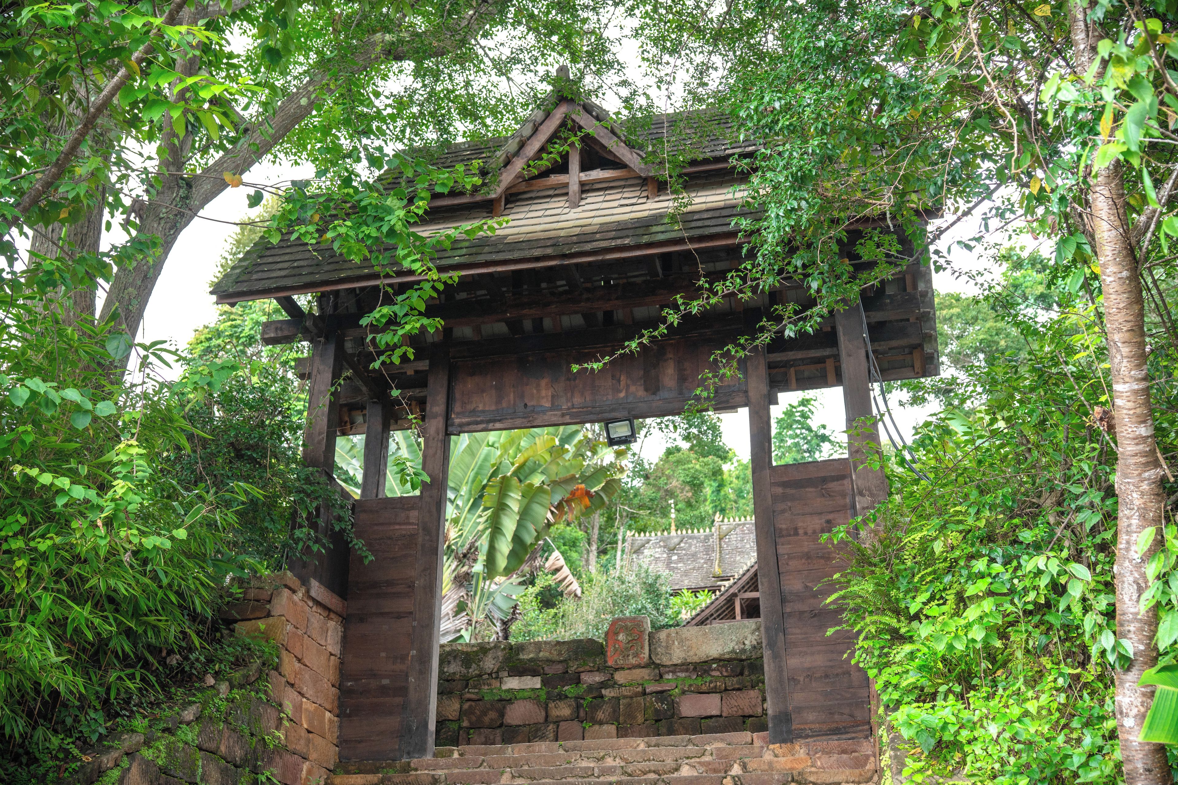 A wooden gazebo structure surrounded by lush greenery.