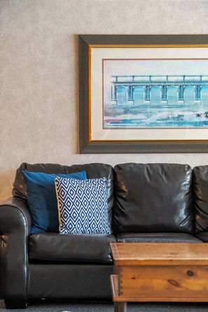 Télévision, cheminée, espaces bureaux