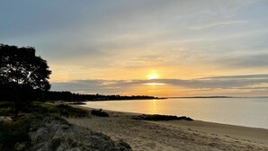 Una playa con un atardecer, agua tranquila y un árbol a la izquierda.