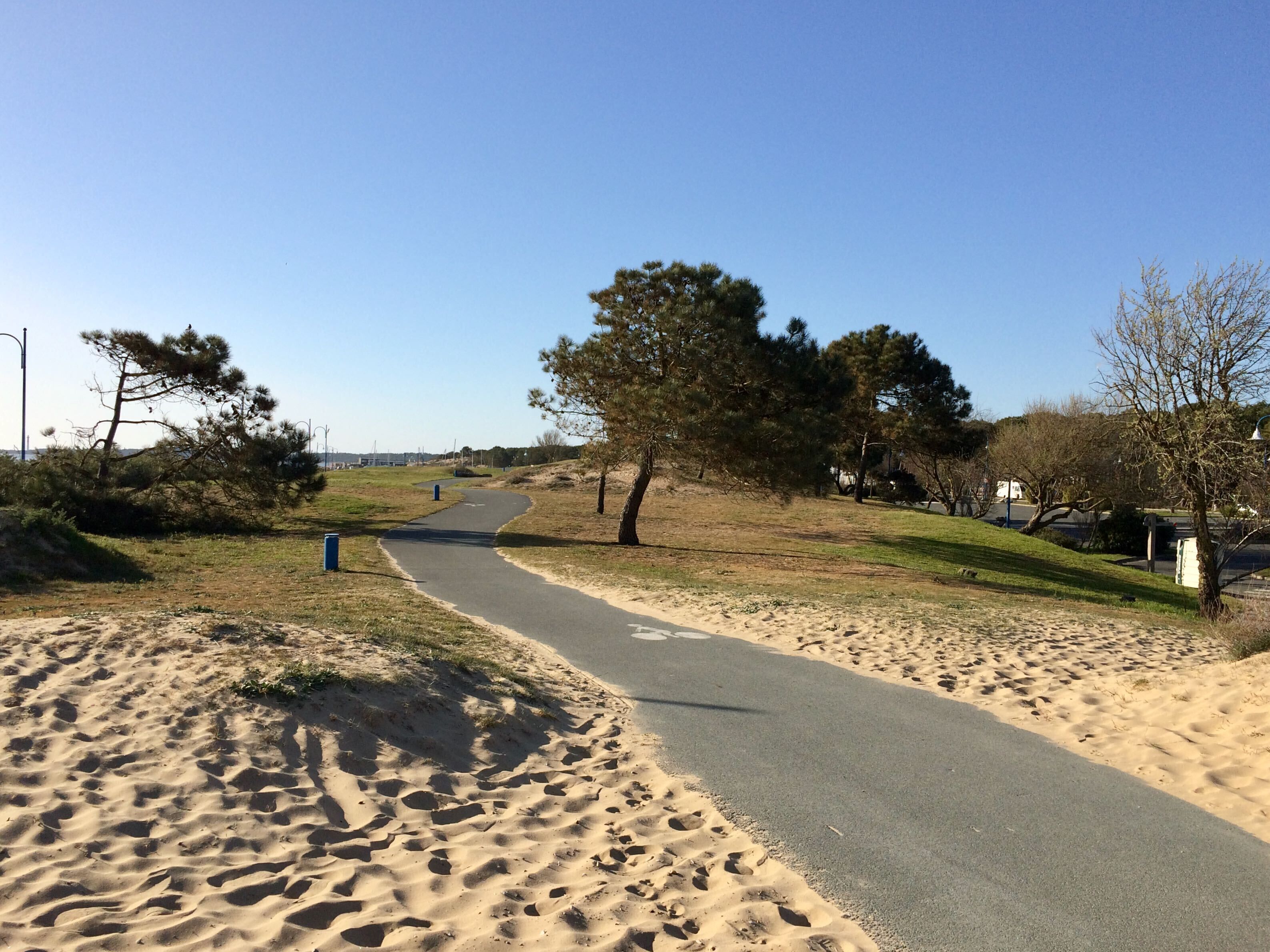 A paved pathway with sand on either side, surrounded by trees and a clear sky.