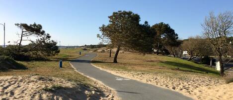 A paved pathway with sand on either side, surrounded by trees and a clear sky.