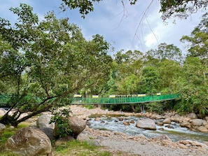 A green bridge over a river with rocks and trees.