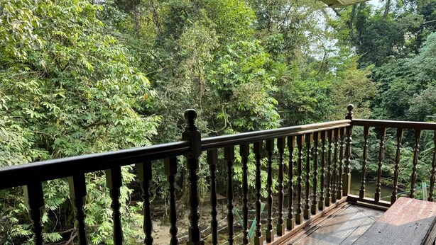 Eine Holzterrasse mit Geländer, die auf einen Fluss mit dichter Vegetation blickt.