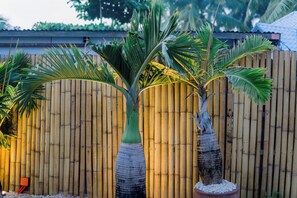 Front of property - 8 Plus Beach Resort (Panglao)