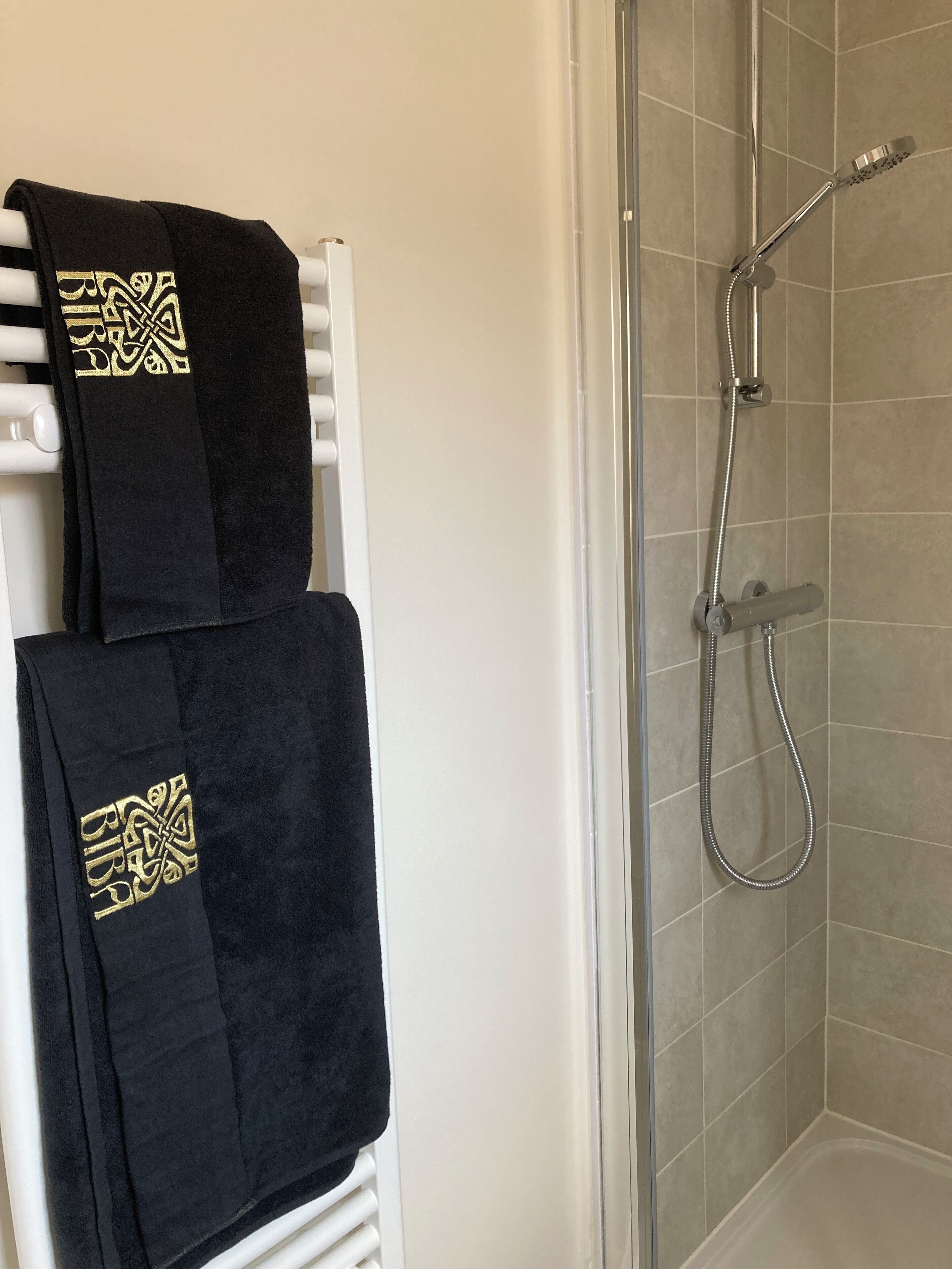 Une douche équipée d’un pommeau de douche à main et d’un robinet fixé au mur.