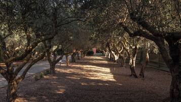 Parco della struttura