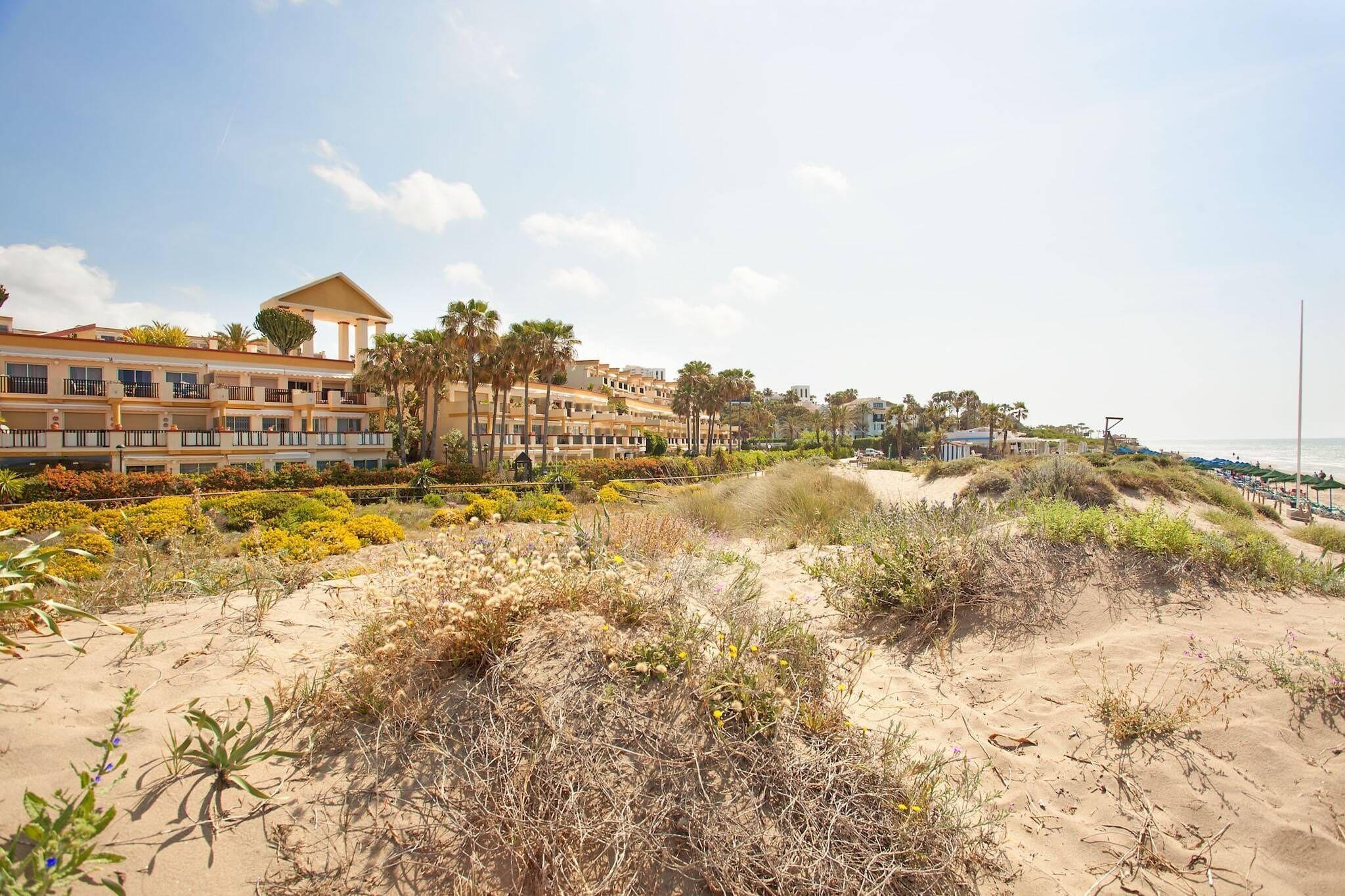 A coastal hotel with a sandy beach, palm trees, and a clear sky.