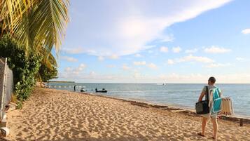 Playa en los alrededores