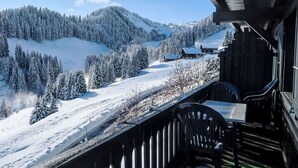 A wooden balcony with a view of a snow-covered mountain and forest.