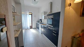 Apartment (Two Bedroom Apartment with Terrace) | Private kitchen | Fridge