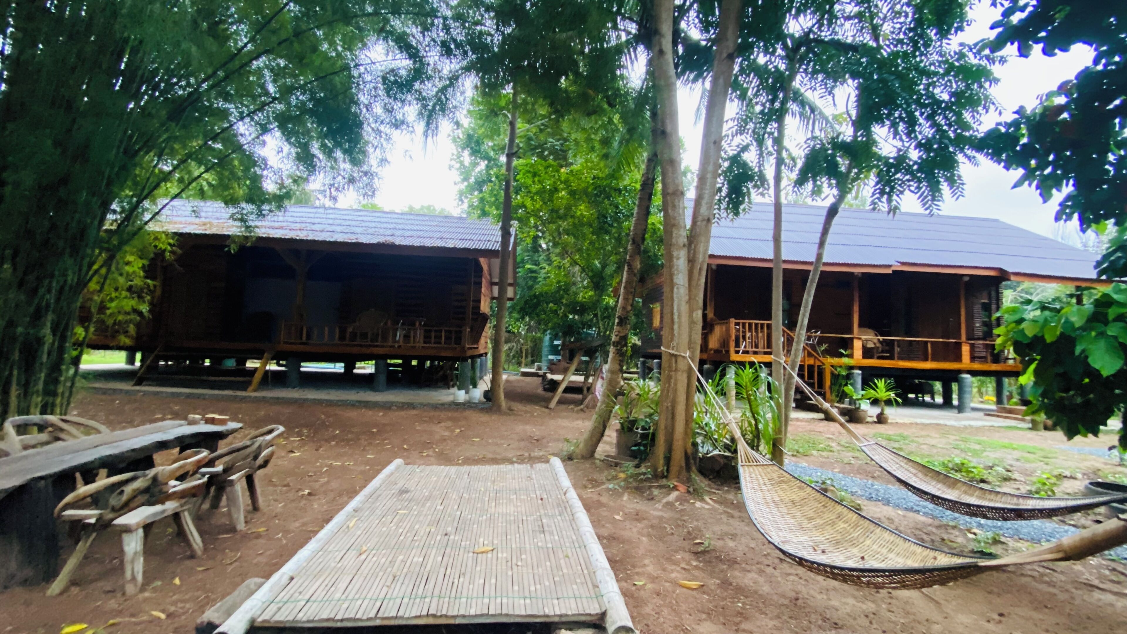 A rustic wooden structure with a thatched roof, surrounded by trees and a hammock.