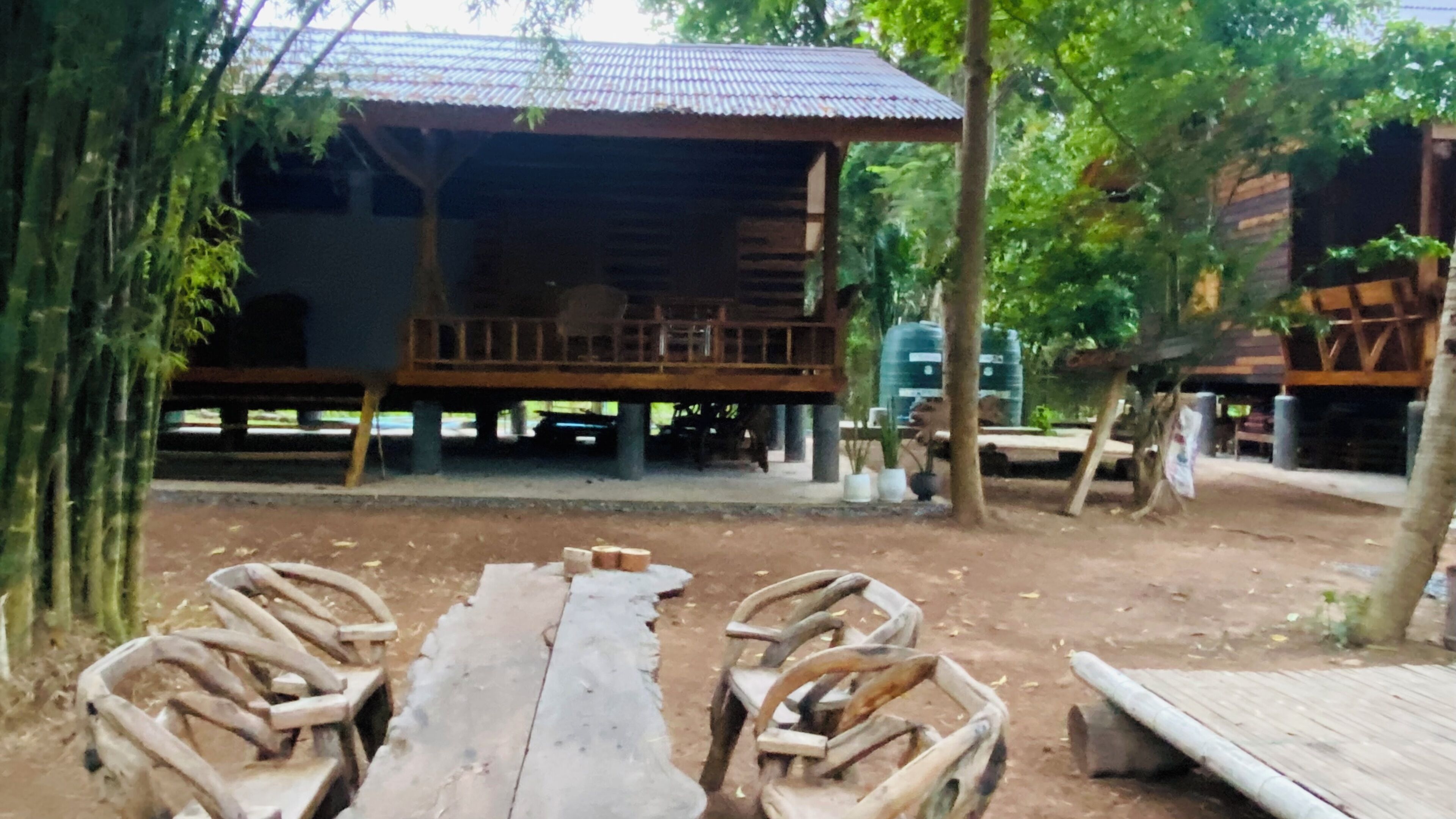 A rustic wooden structure with a metal roof, surrounded by trees and a dirt ground.