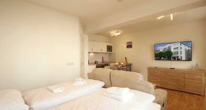 1-room apartment with large breakfast balcony