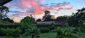 House | Garden