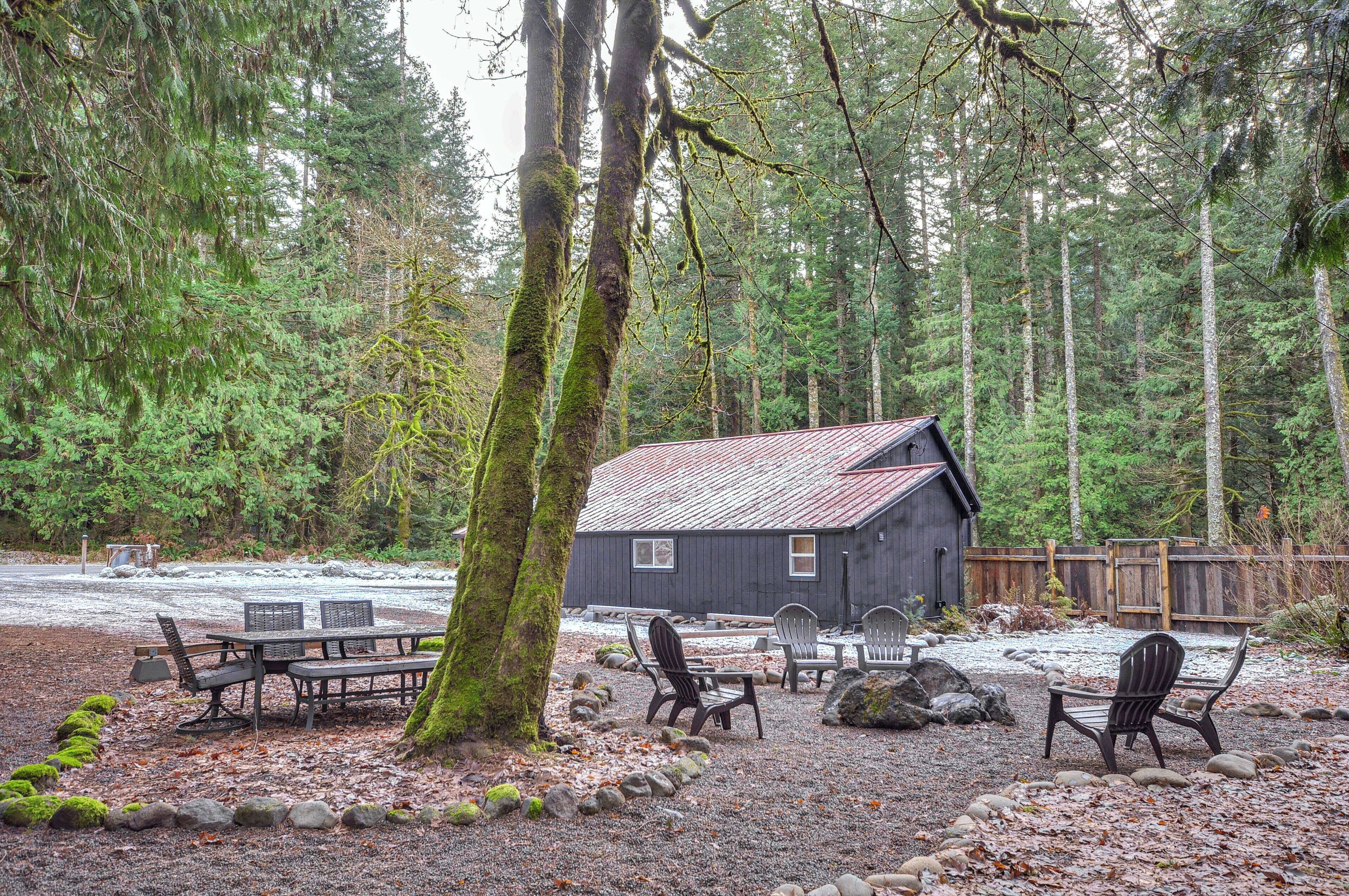 A rustic cabin with a gravel patio, surrounded by tall trees and a wooden deck.