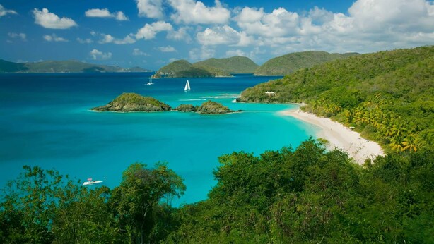 A coastal landscape with turquoise waters, a sandy beach, and lush greenery. - Monarch Cottage Waterfront Fish Bay, Pebble shoreline, A/C, Generator (St. John)