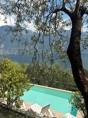 Une piscine avec vue sur les montagnes et un arbre au premier plan.