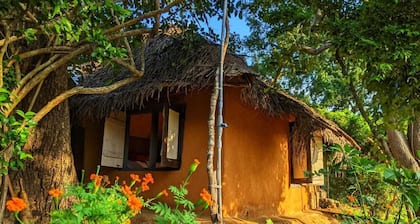 Yala Jungle Haven