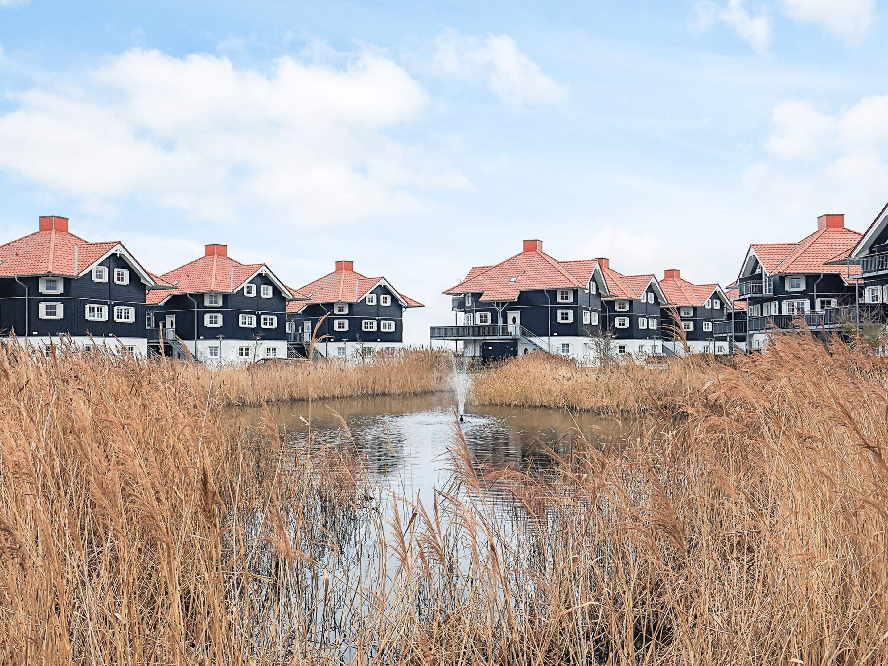 A row of black and white houses with red roofs, a canal in the foreground, and tall reeds.