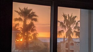 Ein Fenster mit Blick auf einen Sonnenuntergang, Palmen und ein Gebäude.