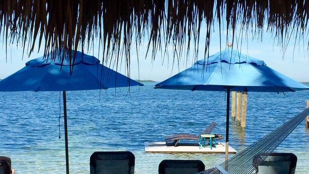 A beachside lounge with two blue umbrellas, a hammock, and lounge chairs. - Seafarer Key Largo (Key Largo)