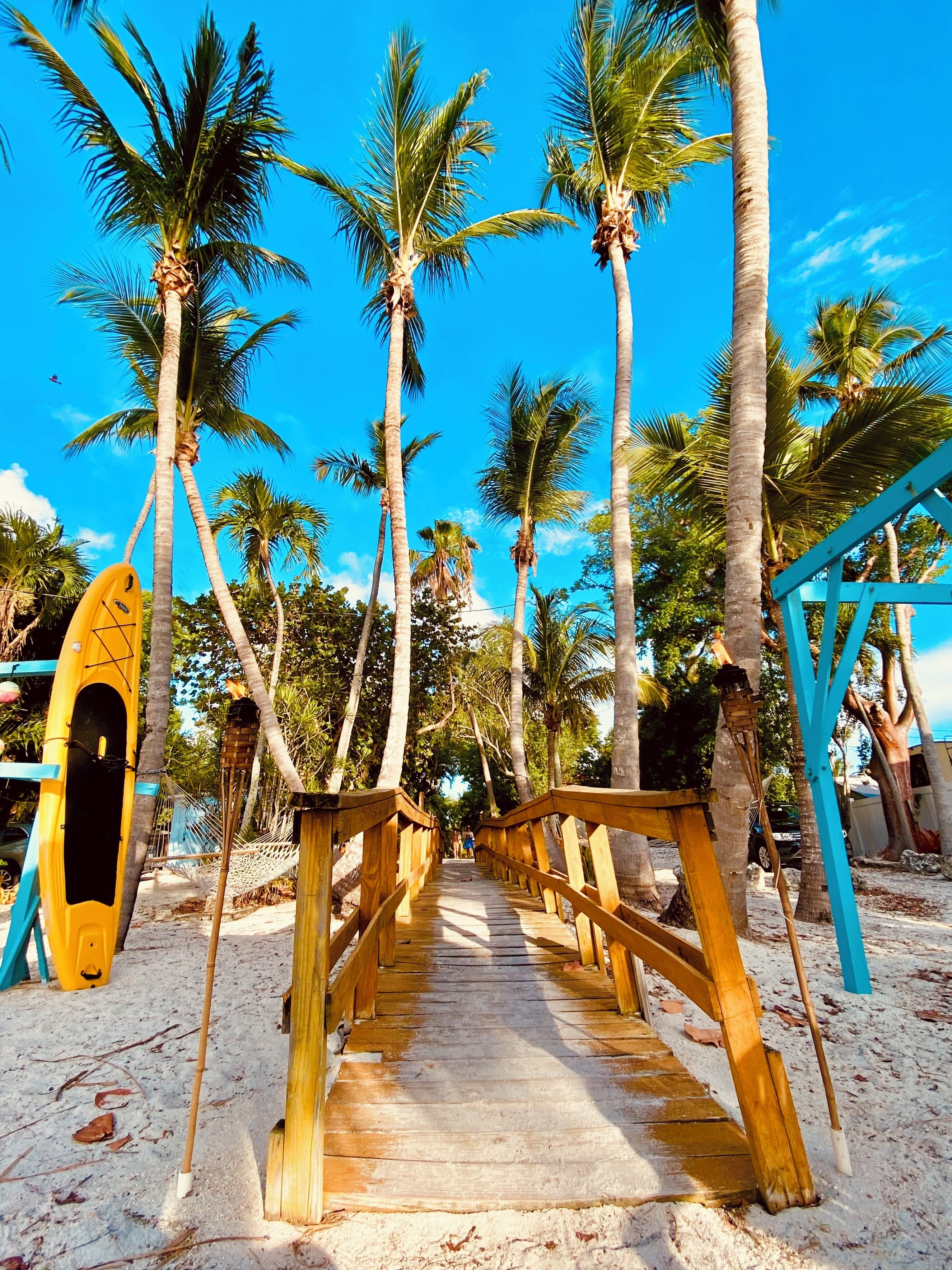 A wooden bridge leading to a beach area with palm trees and a yellow kayak.