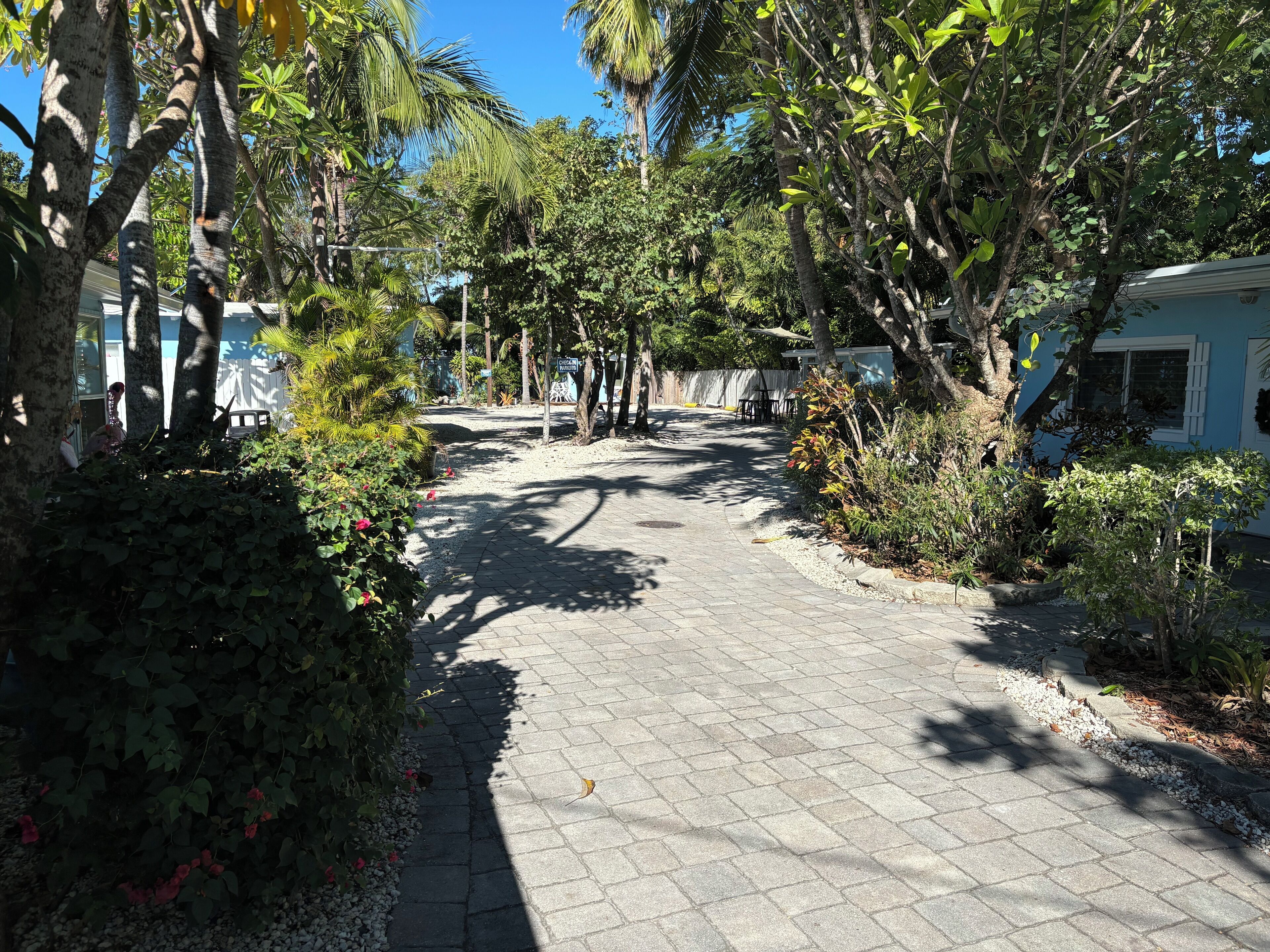 A paved pathway lined with trees and shrubs, leading to a building with a blue exterior.