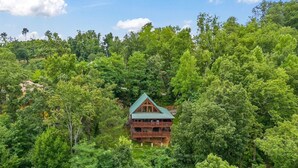 A cabin surrounded by dense forest. - Triple Mountain View Stunning 4 BDR Cabin w/ Private Hot Tub, Game Room (Gatlinburg)