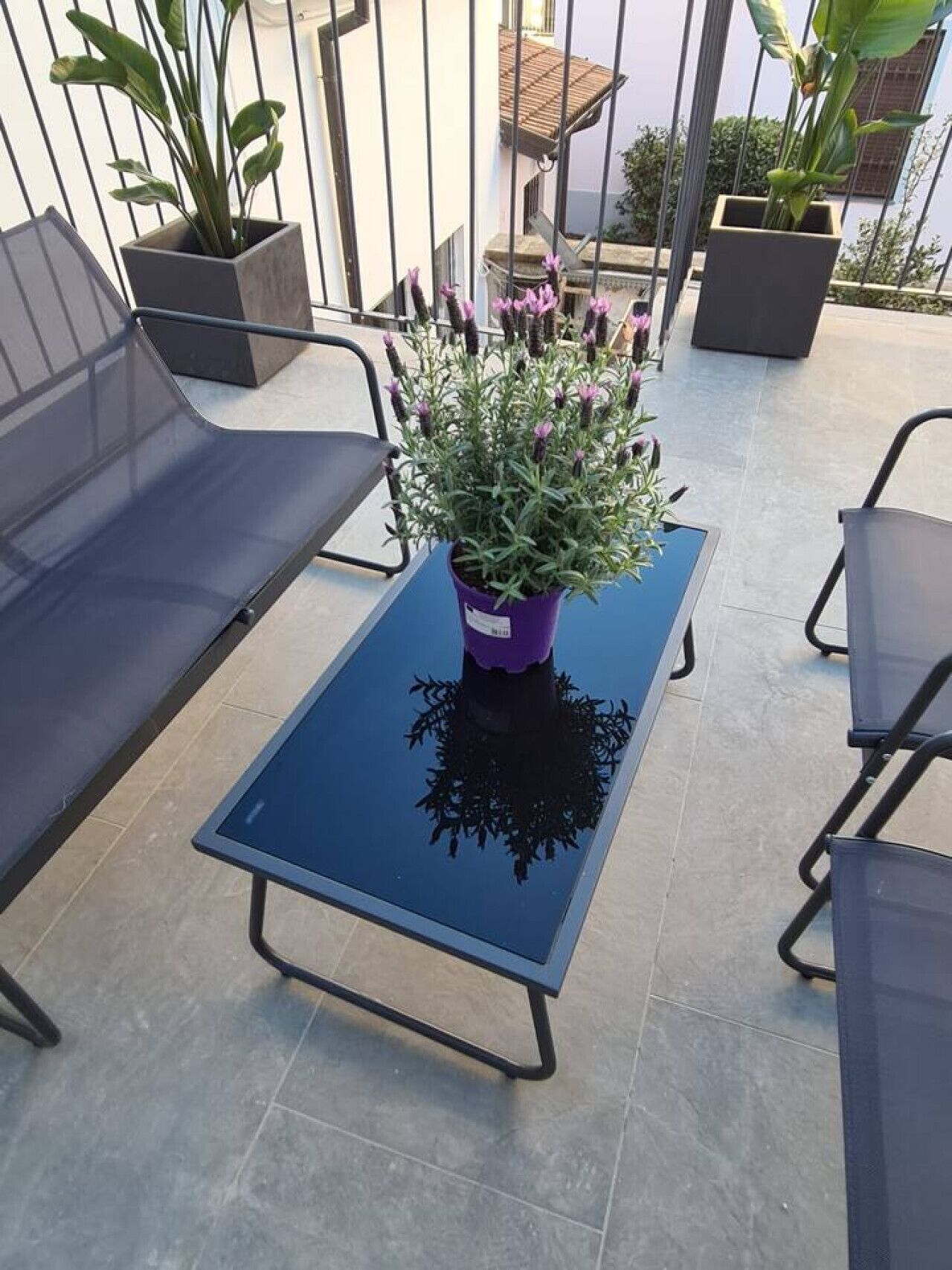 A balcony with a blue glass table, two black metal chairs, and a purple potted plant with purple flowers.