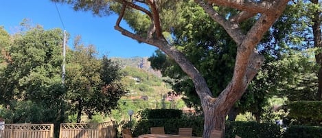 Jardín