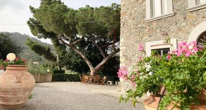 Agriturismo San Cerbone