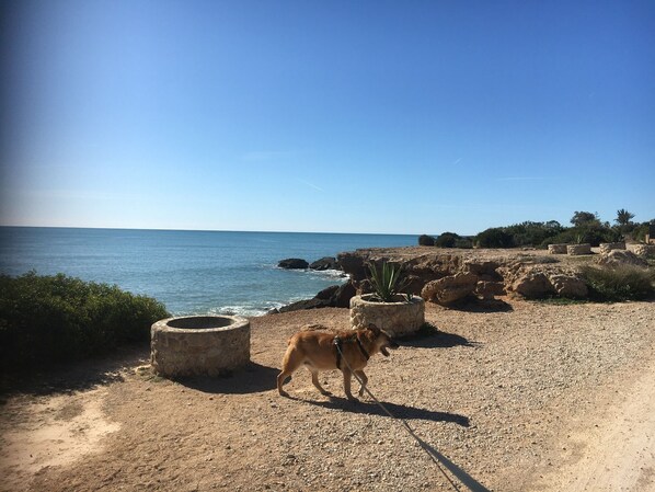 Plage