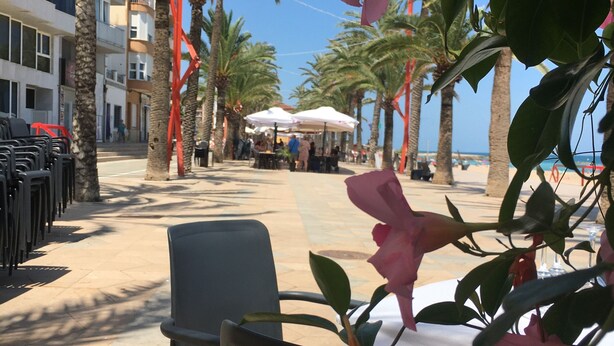 An outdoor seating area with tables and chairs, palm trees, and a view of the beach. - Comfortable house 100m from the wild beaches of Peniscola Sud. Pets allowed (VC)