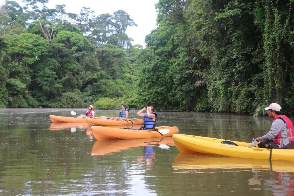 Foto - Tortuguero Adventures Guesthouse