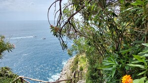 Eine Treppe führt zu einer Küstenlandschaft mit Blick auf das Meer und einigen orangefarbenen Blumen.