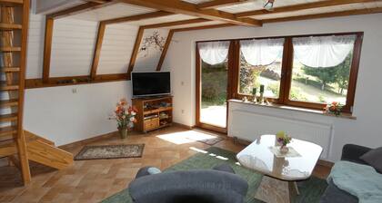 Ferienhaus in Lichtenhain