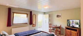 Hotel Waldhaus-Lahnstein - Room 5 - Double room in the basement