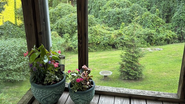 Eine Holzterrasse mit zwei Blumentöpfen und Blick auf einen üppigen Garten.