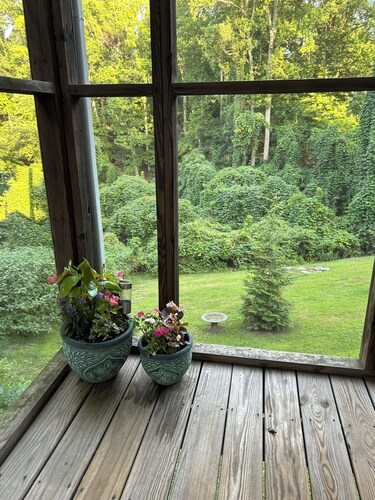 The Finch Cottage 
Charming 2-bedroom cottage  Historical District Mount Airy