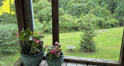 The Finch Cottage
Charming 2-bedroom cottage Historical District Mount Airy