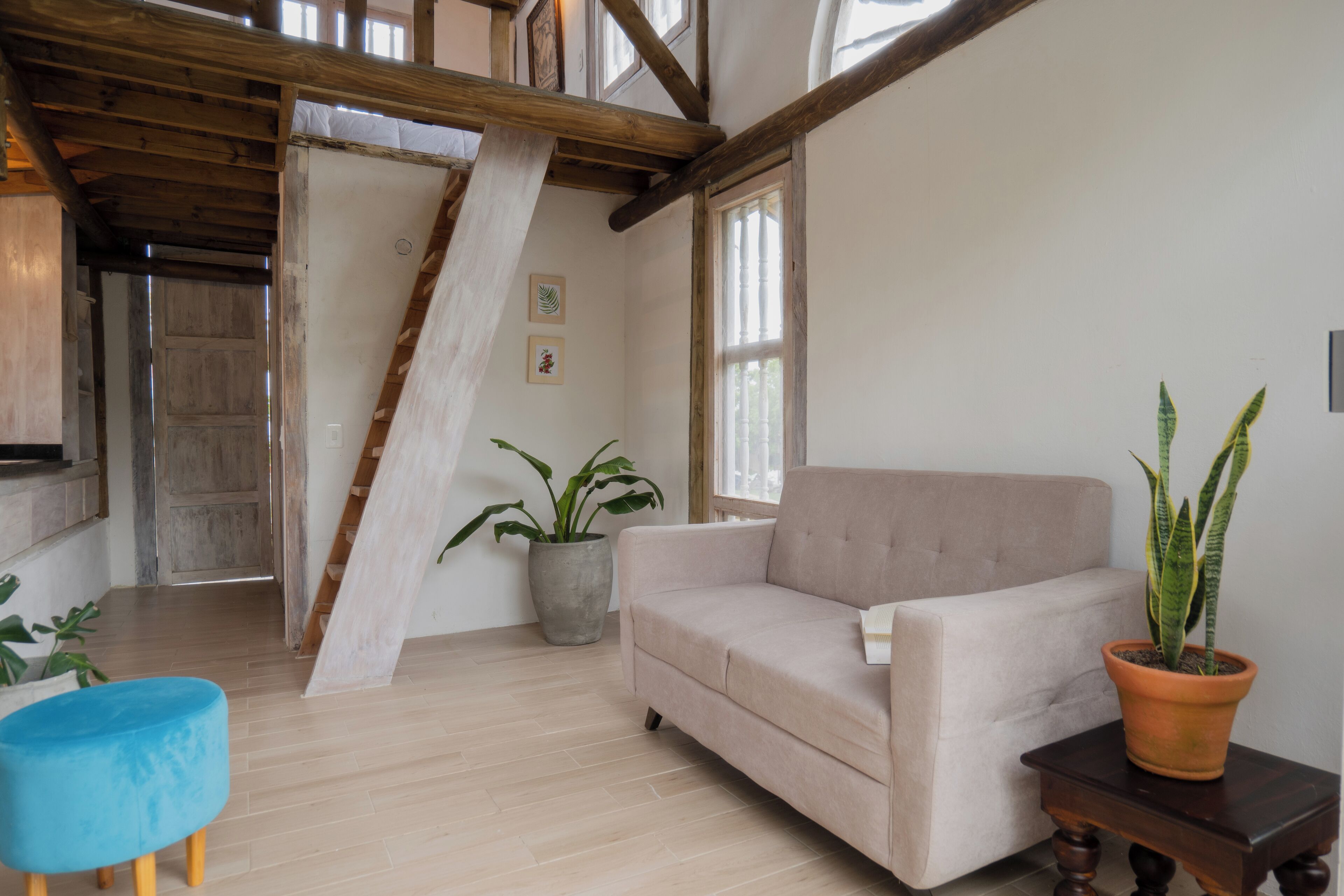 Vila Khas, pemandangan kebun | Area keluarga | Buku dan koleksi video