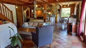 TV, fireplace, video games, DVD player