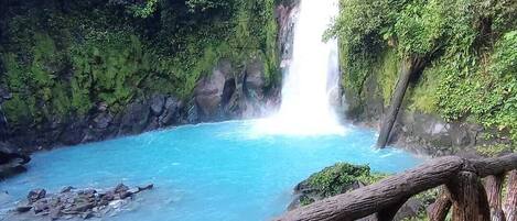 A waterfall cascading into a turquoise pool surrounded by lush greenery.